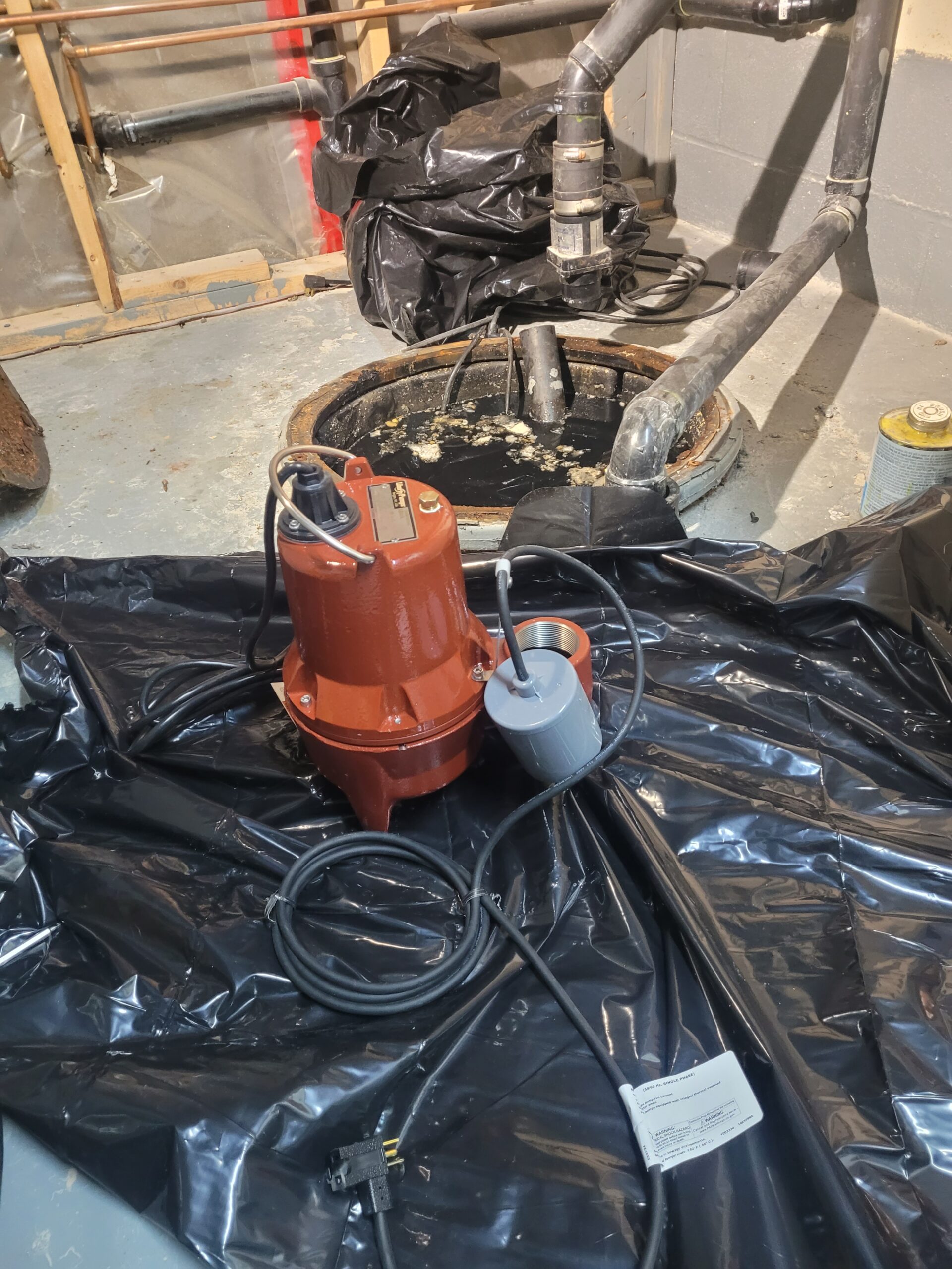 sump pump ready to be installed